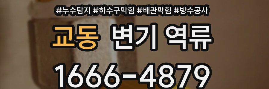 교동 변기 역류