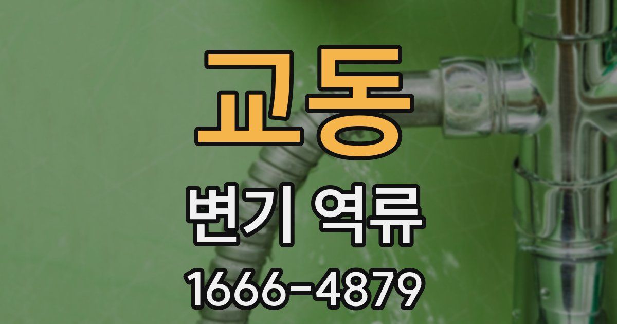교동 변기 역류