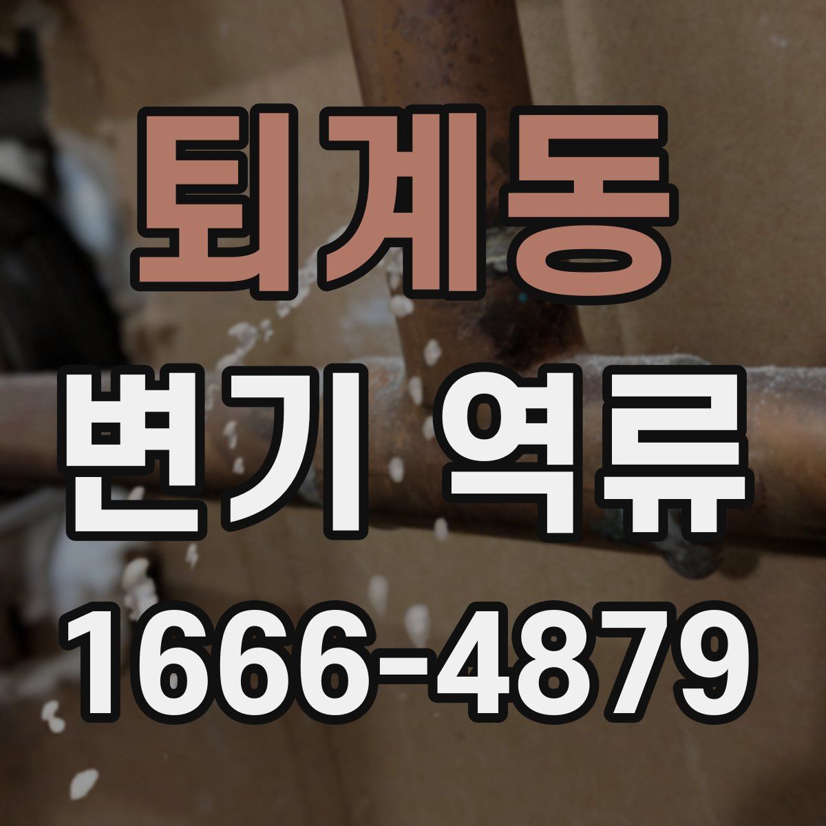 퇴계동 변기 역류