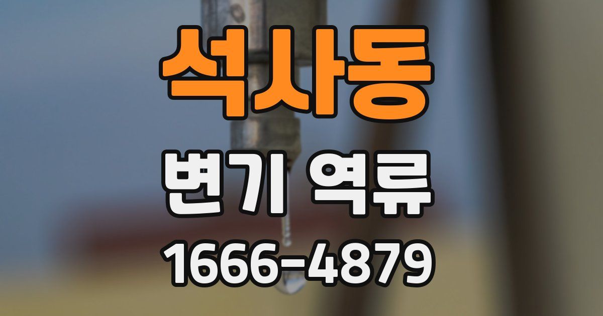 석사동 변기 역류