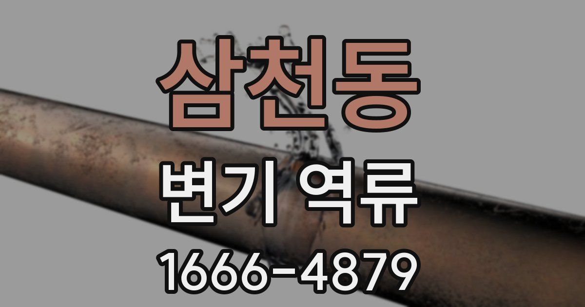 삼천동 변기 역류