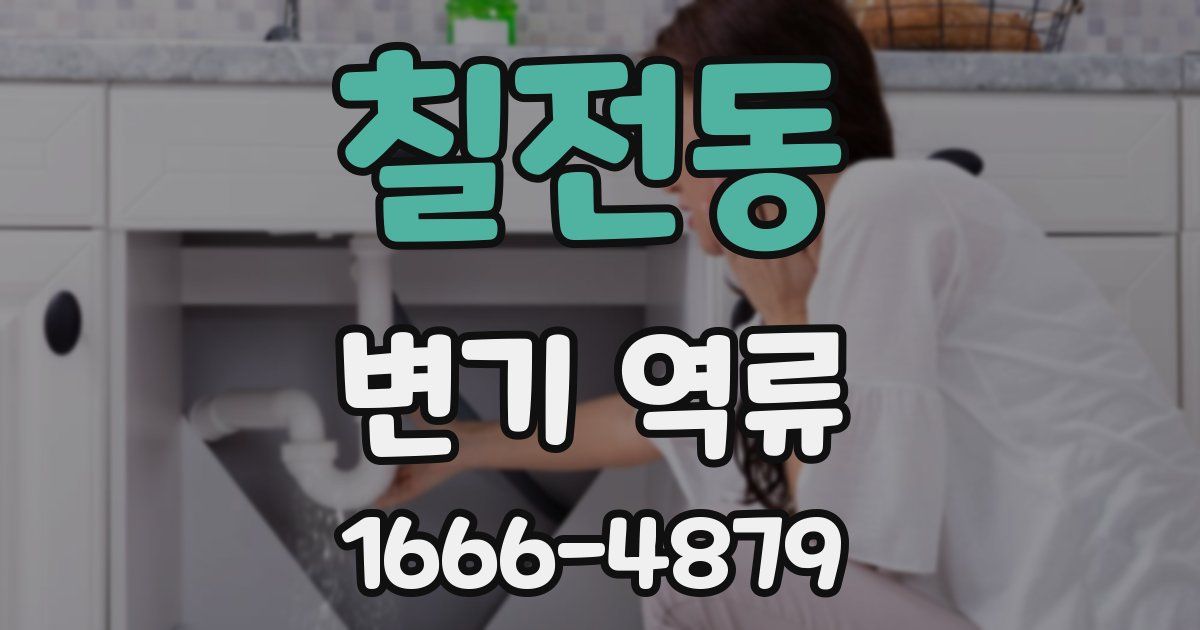 칠전동 변기 역류