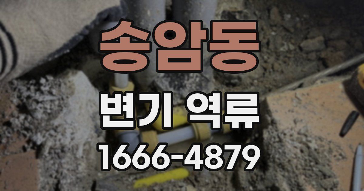 송암동 변기 역류
