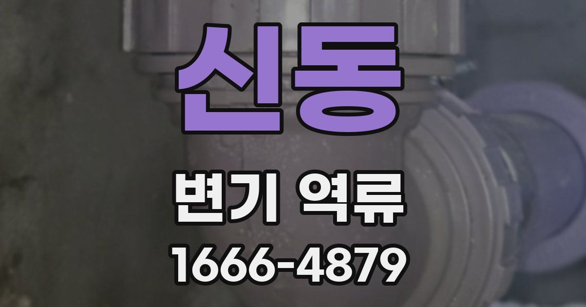 신동 변기 역류