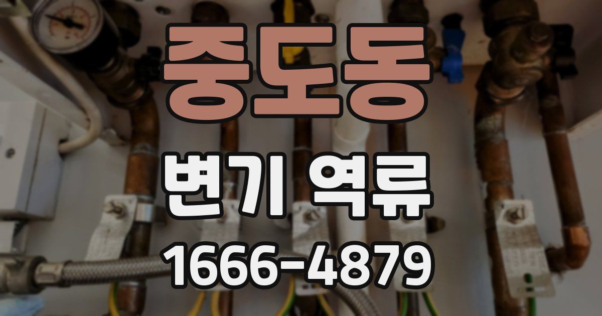 중도동 변기 역류