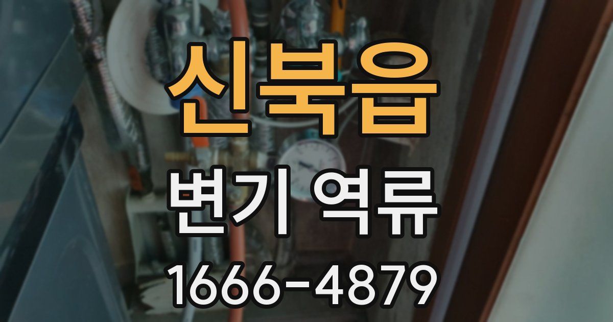 신북읍 변기 역류