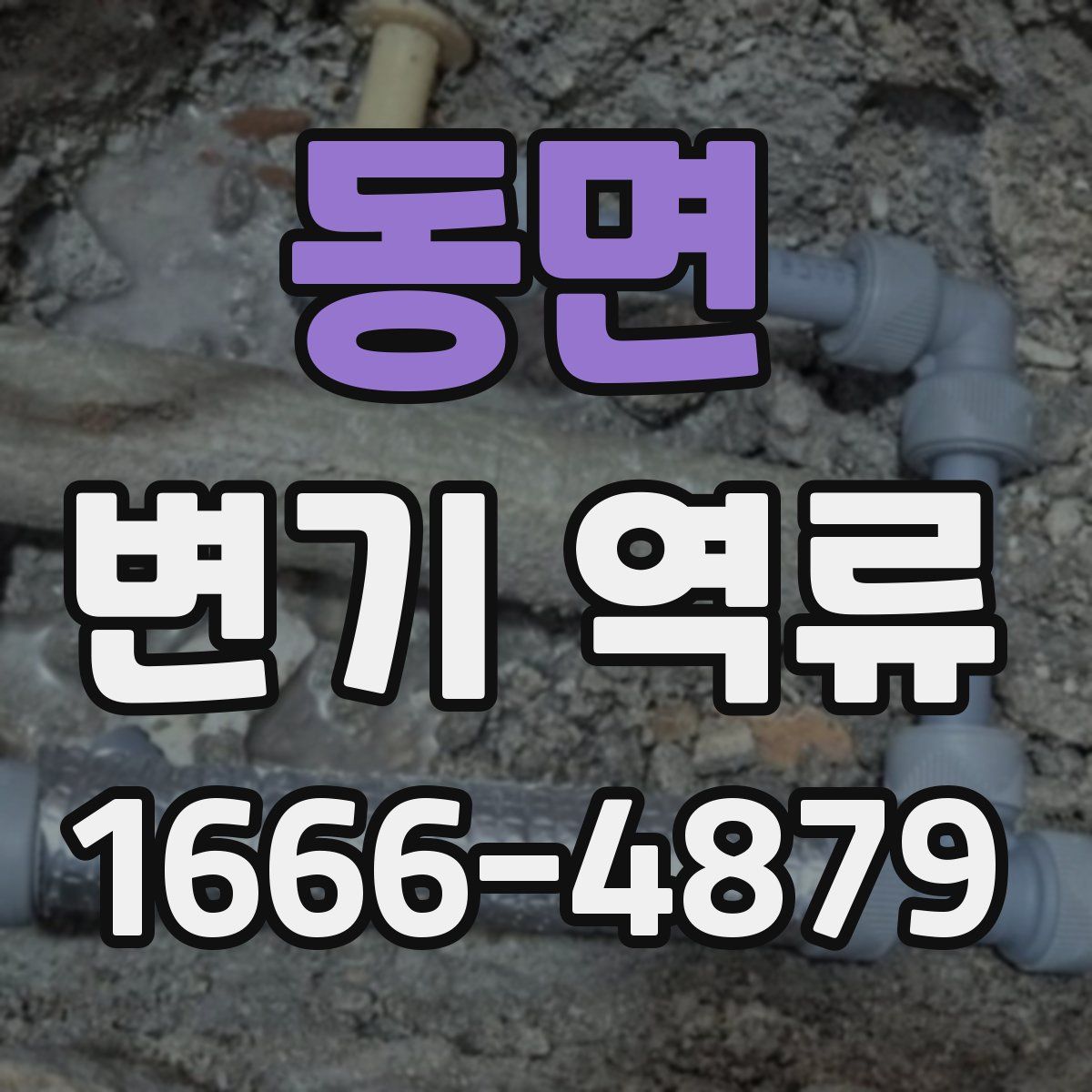 동면 변기 역류