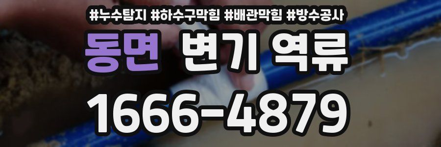 동면 변기 역류