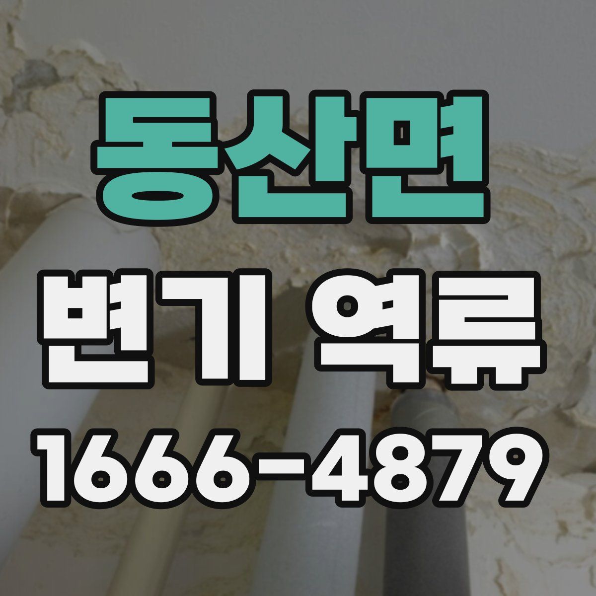 동산면 변기 역류