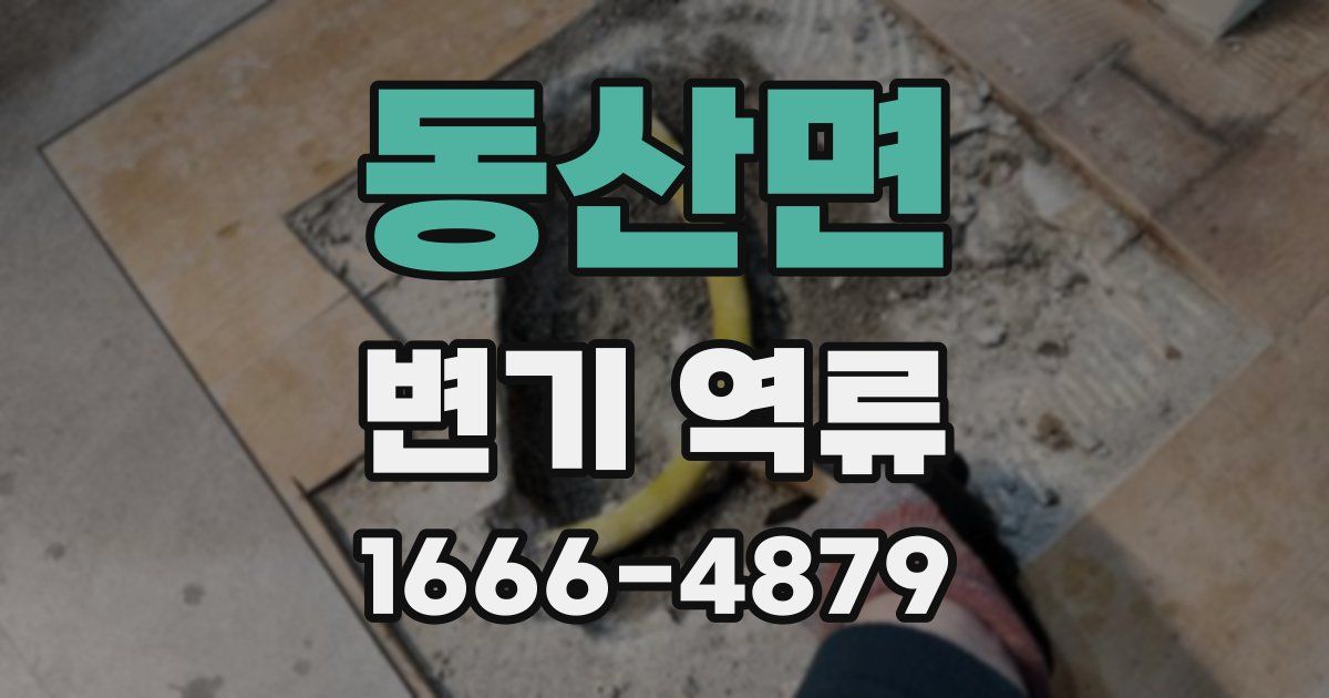 동산면 변기 역류