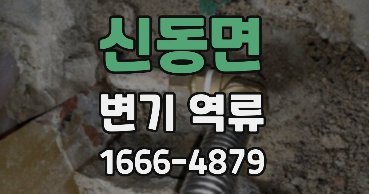 신동면 변기 역류