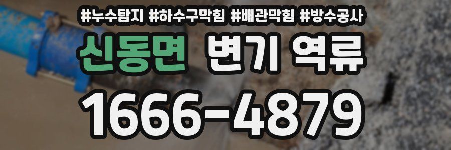 신동면 변기 역류