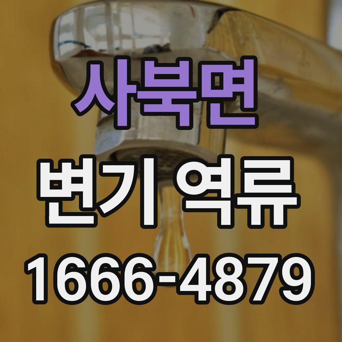 사북면 변기 역류