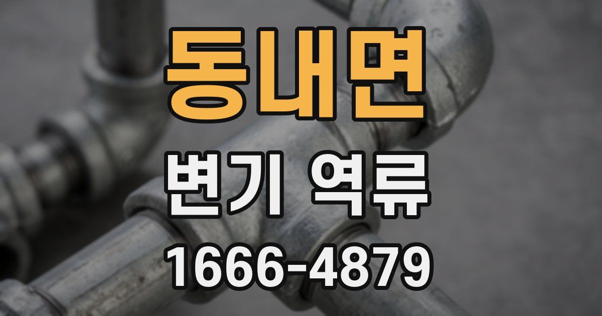 동내면 변기 역류