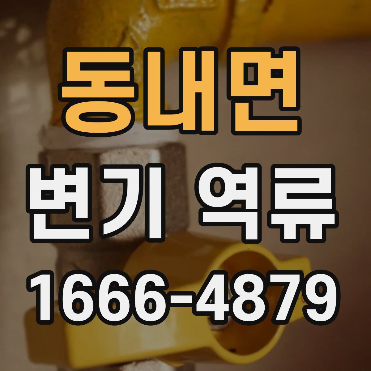 동내면 변기 역류