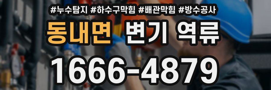 동내면 변기 역류