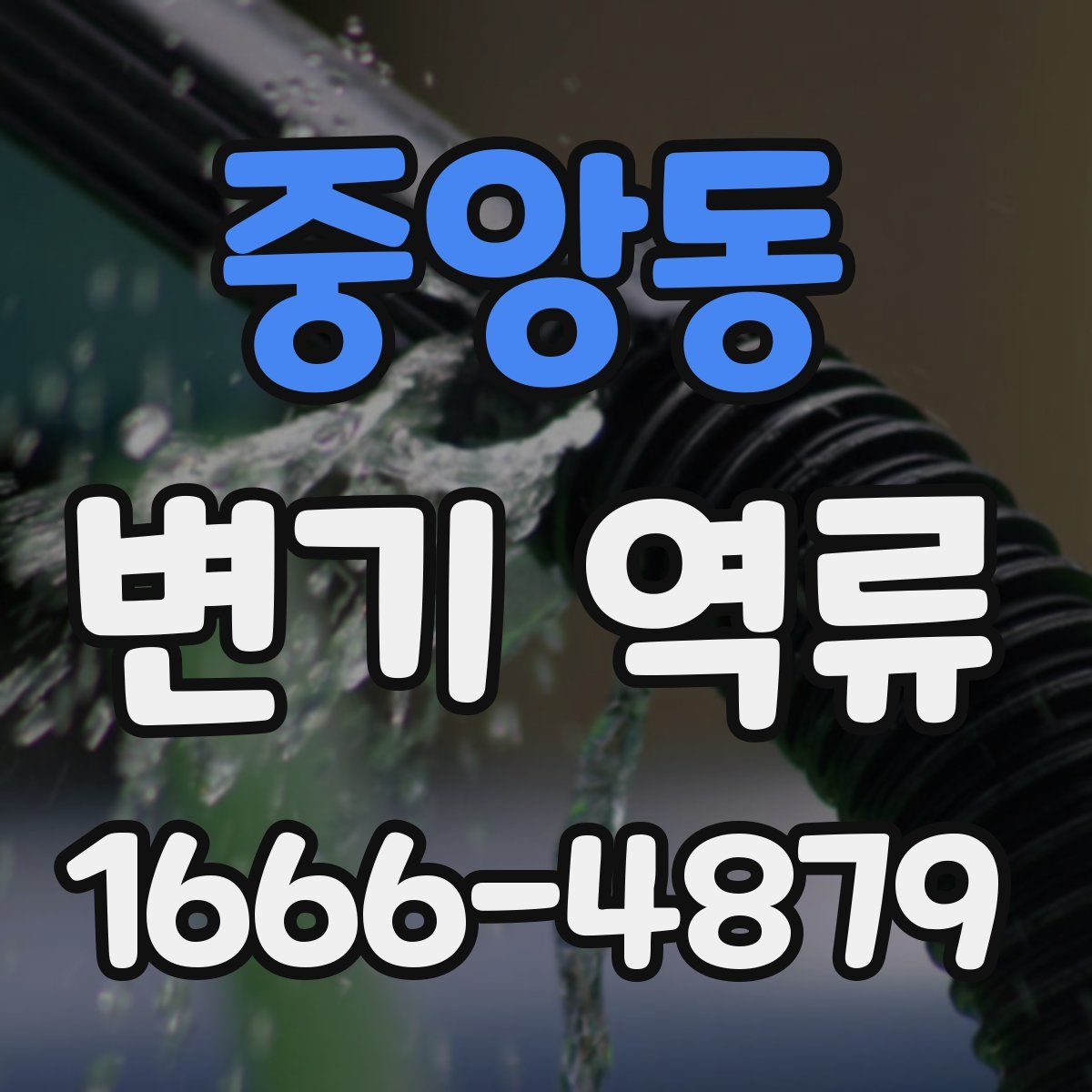 중앙동 변기 역류