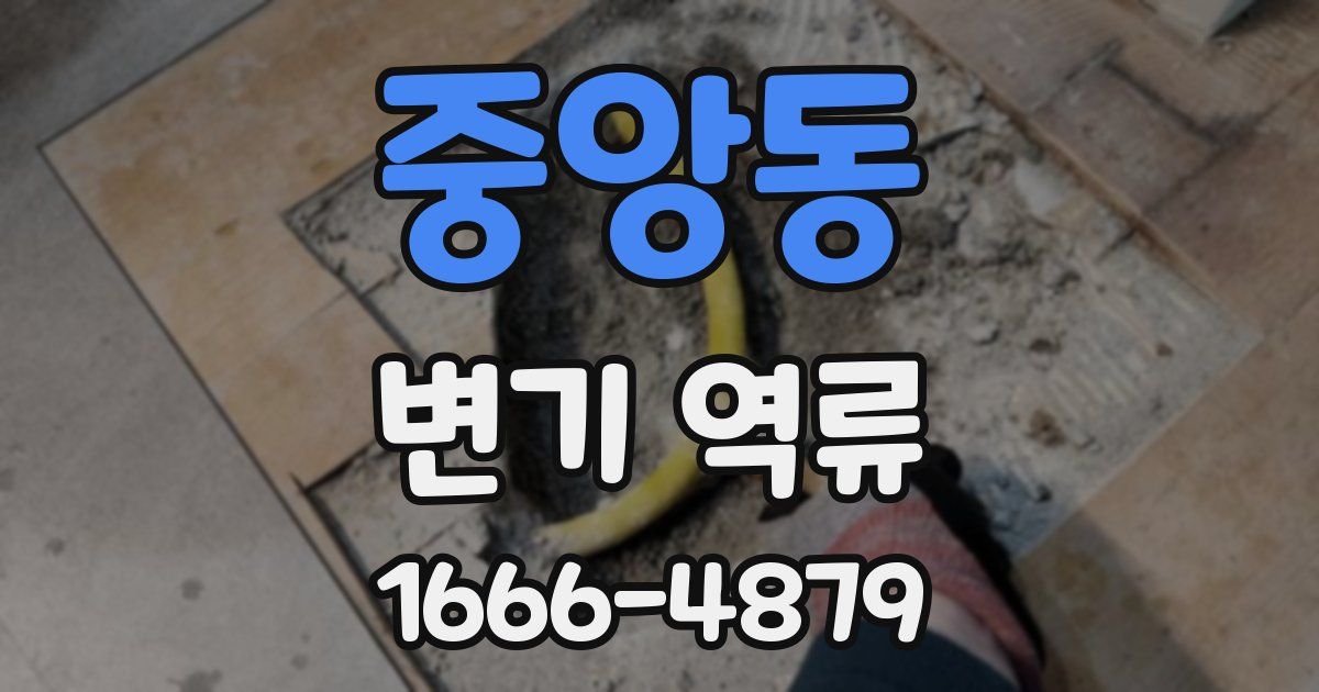 중앙동 변기 역류