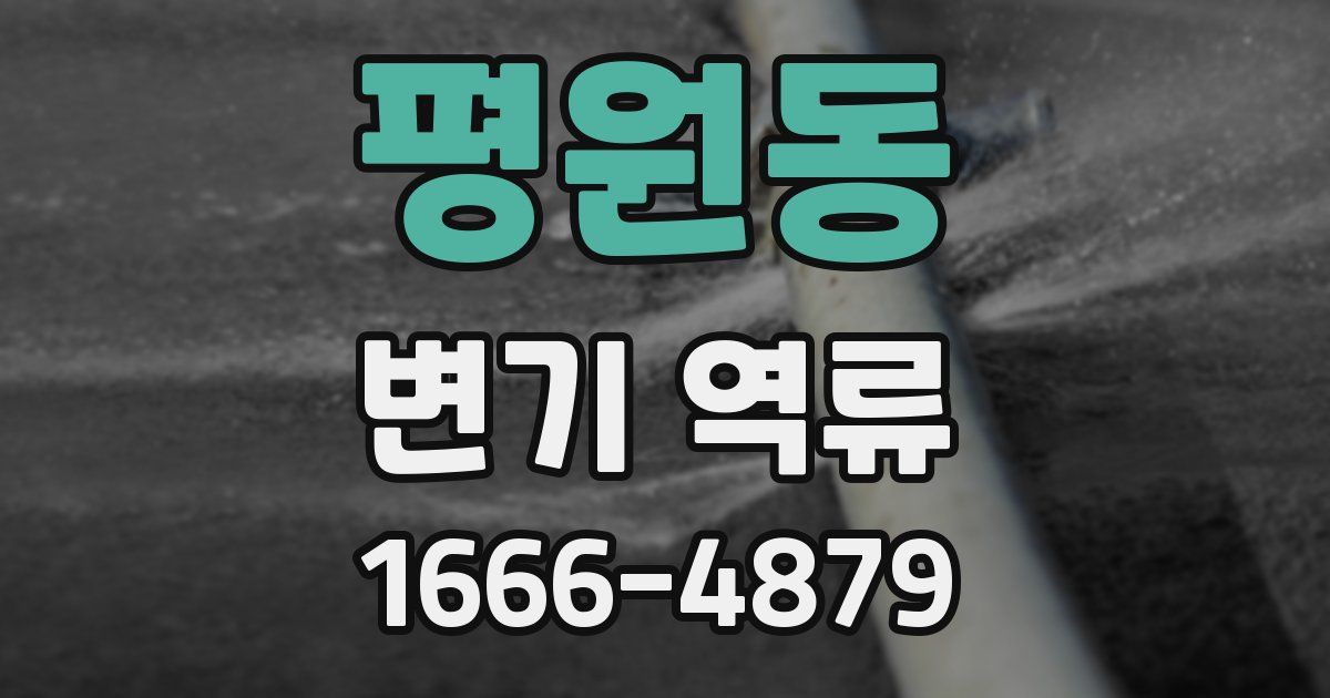 평원동 변기 역류