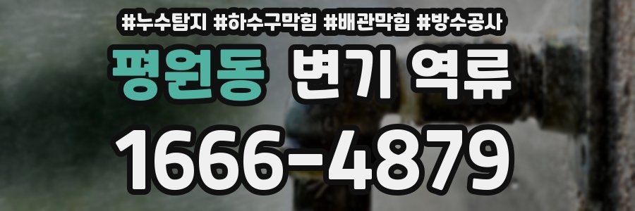 평원동 변기 역류