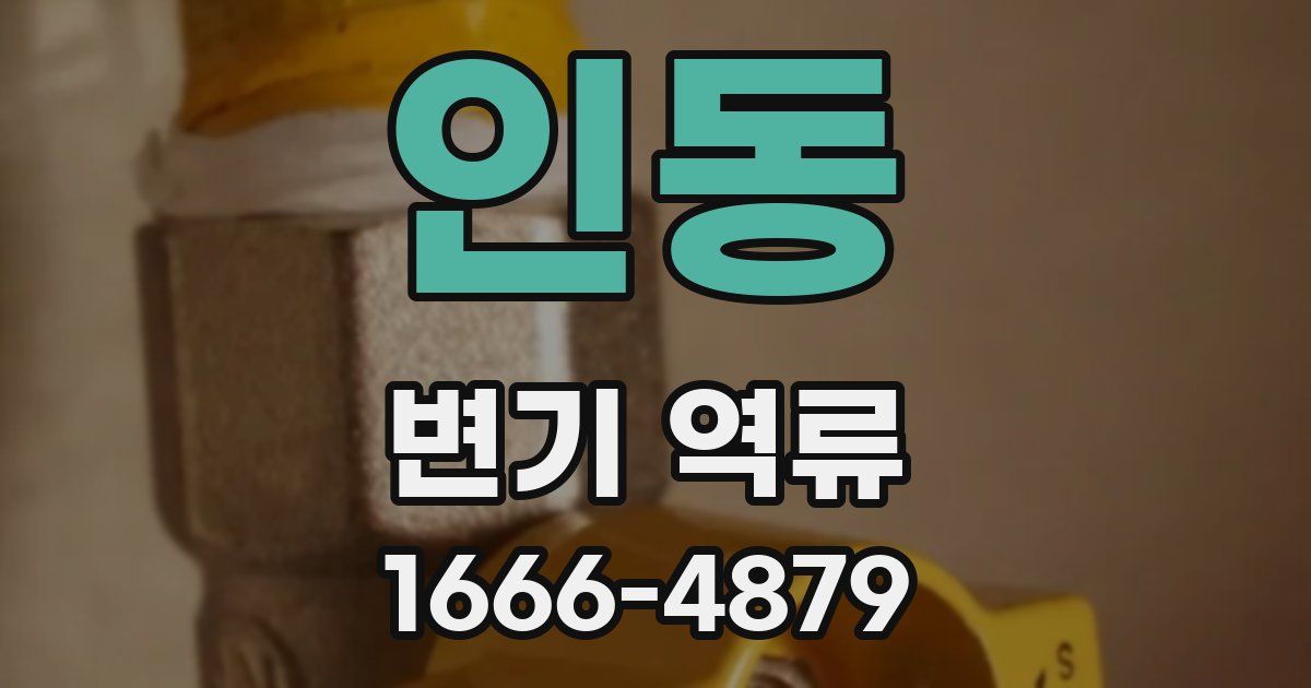 인동 변기 역류