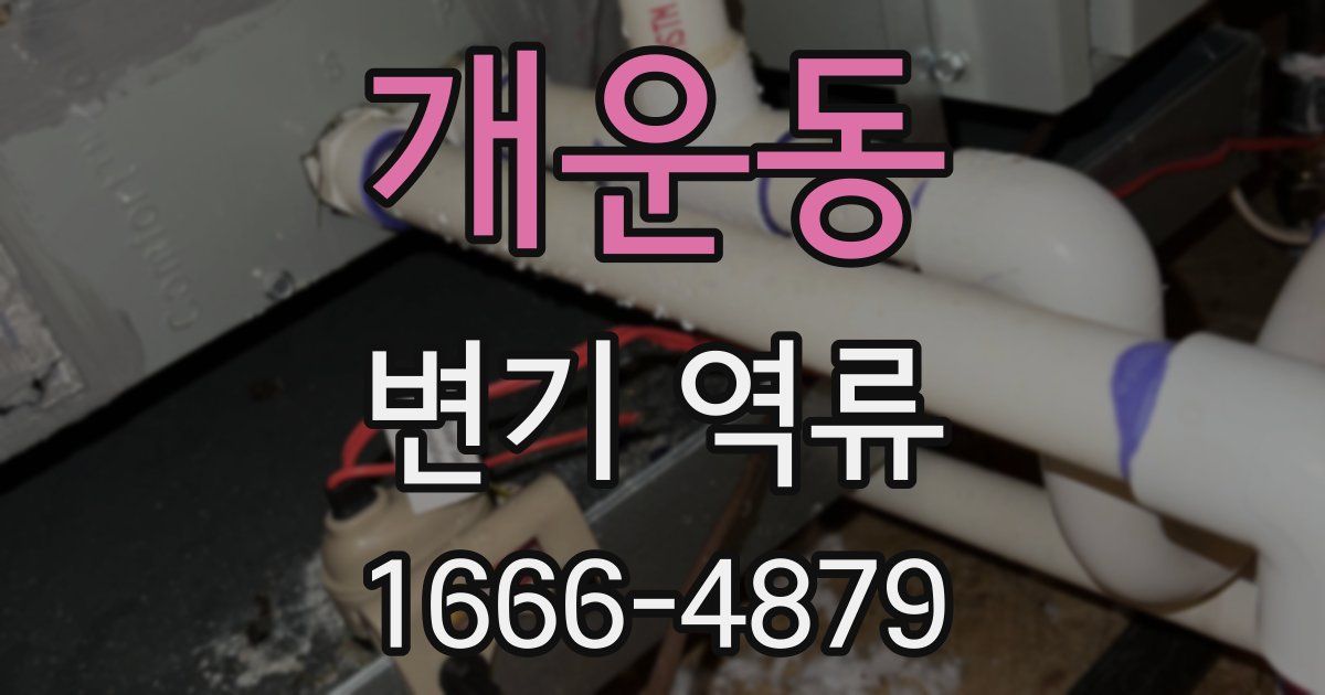 개운동 변기 역류