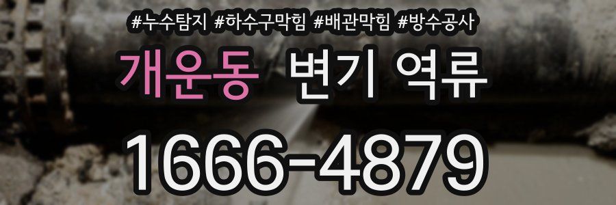 개운동 변기 역류