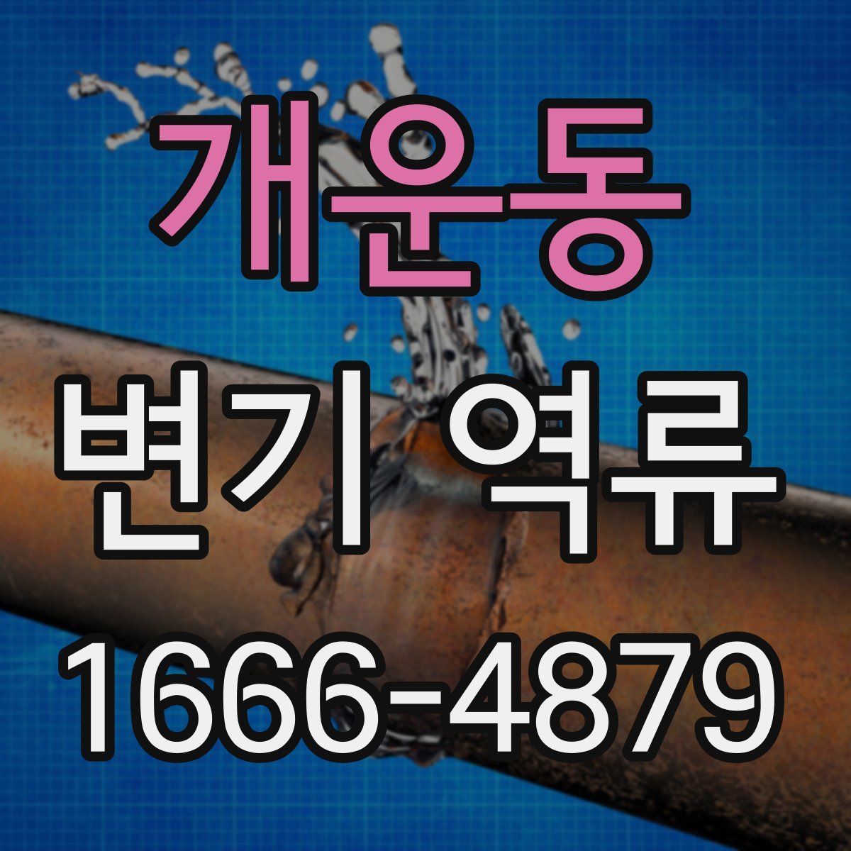 개운동 변기 역류