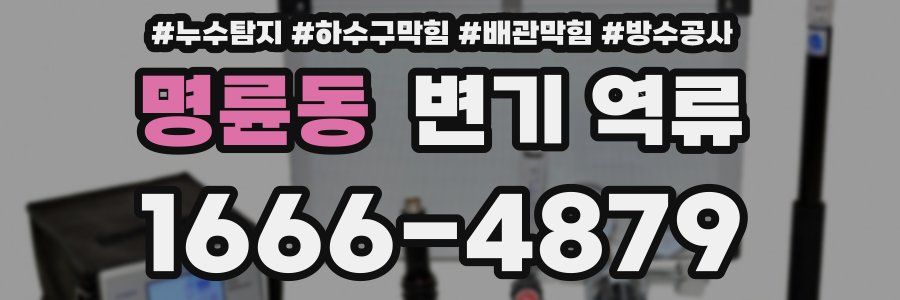 명륜동 변기 역류