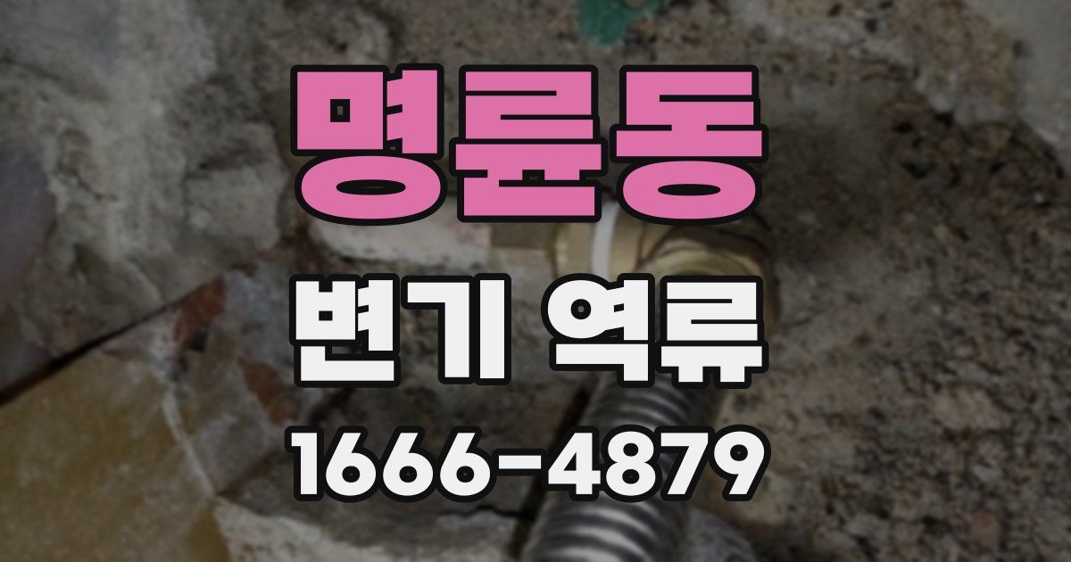 명륜동 변기 역류