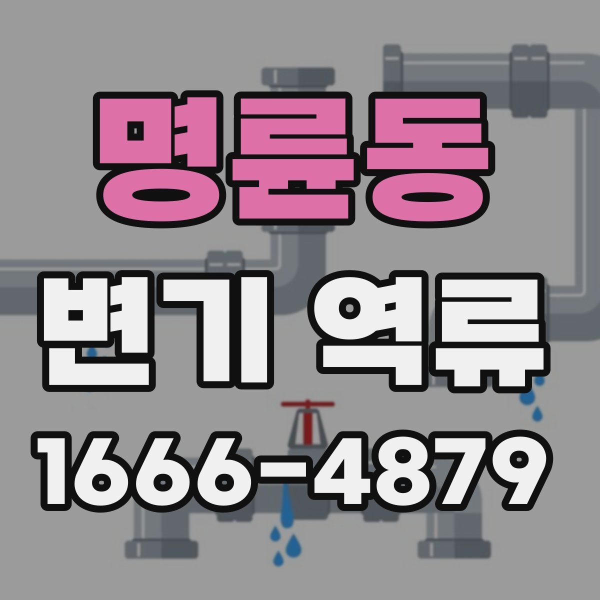 명륜동 변기 역류
