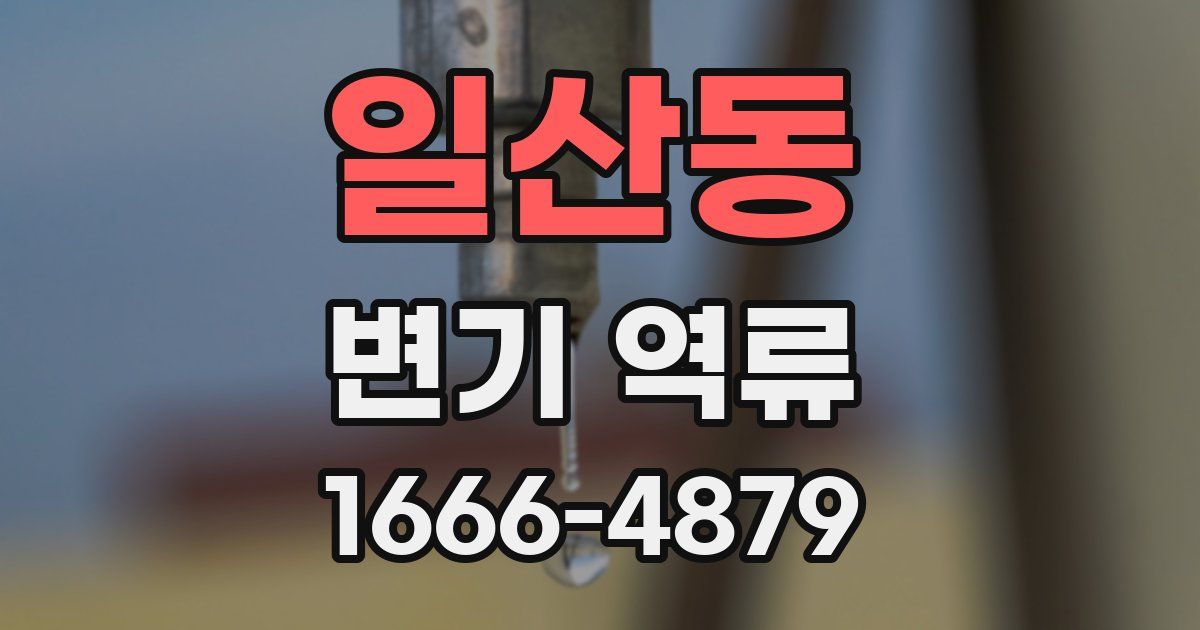 일산동 변기 역류