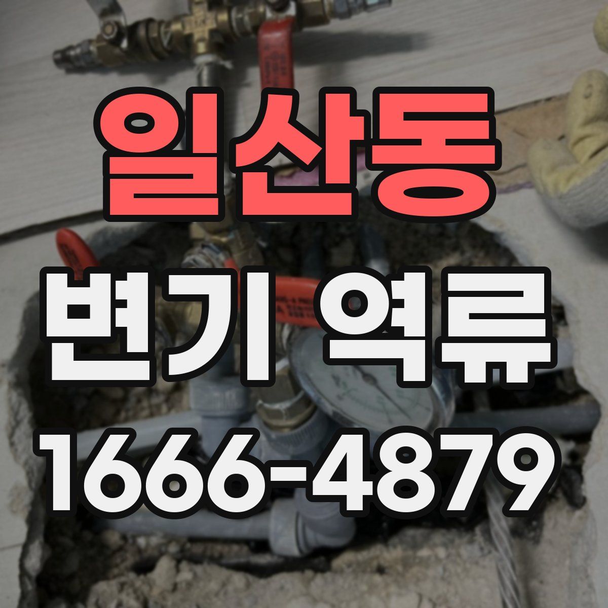 일산동 변기 역류