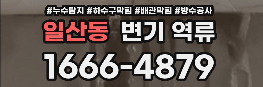 일산동 변기 역류