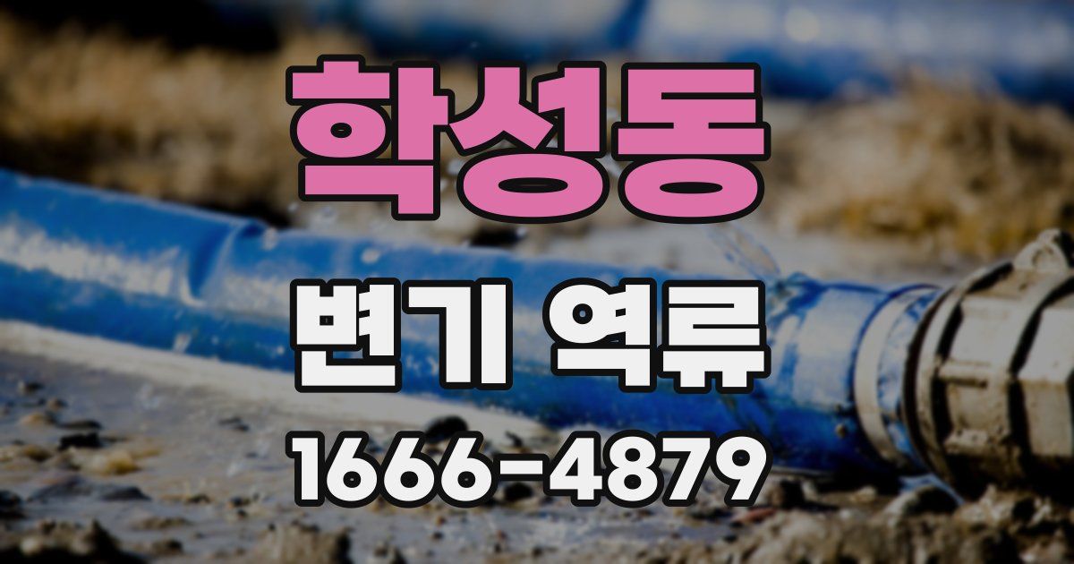 학성동 변기 역류