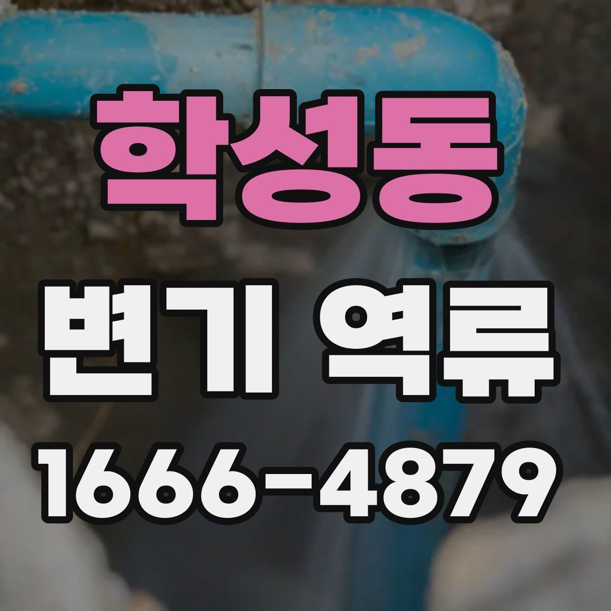 학성동 변기 역류