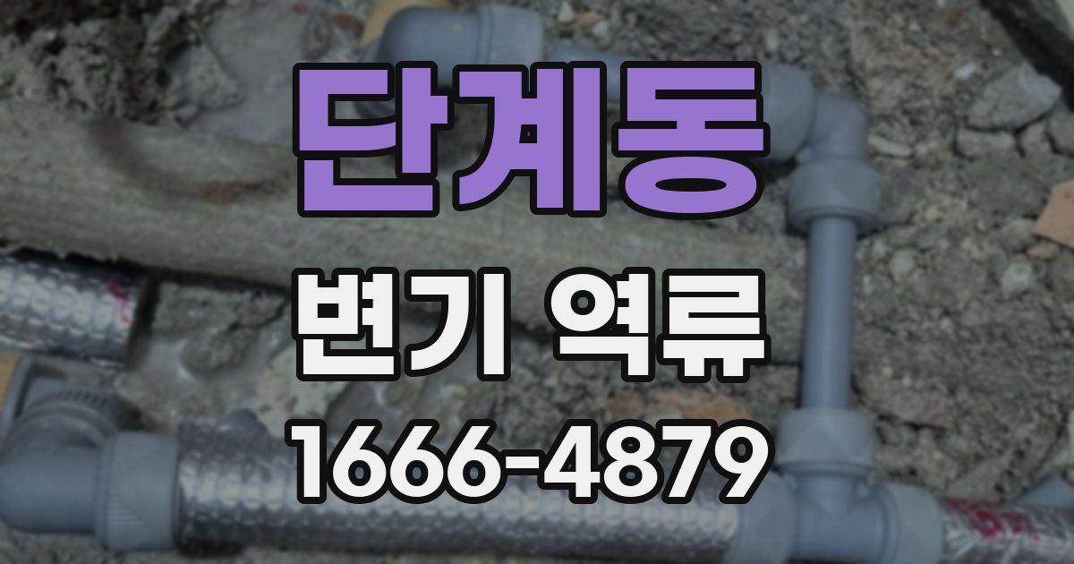 단계동 변기 역류