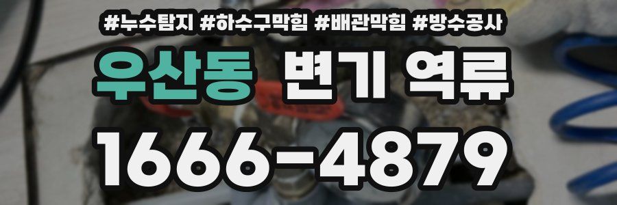 우산동 변기 역류