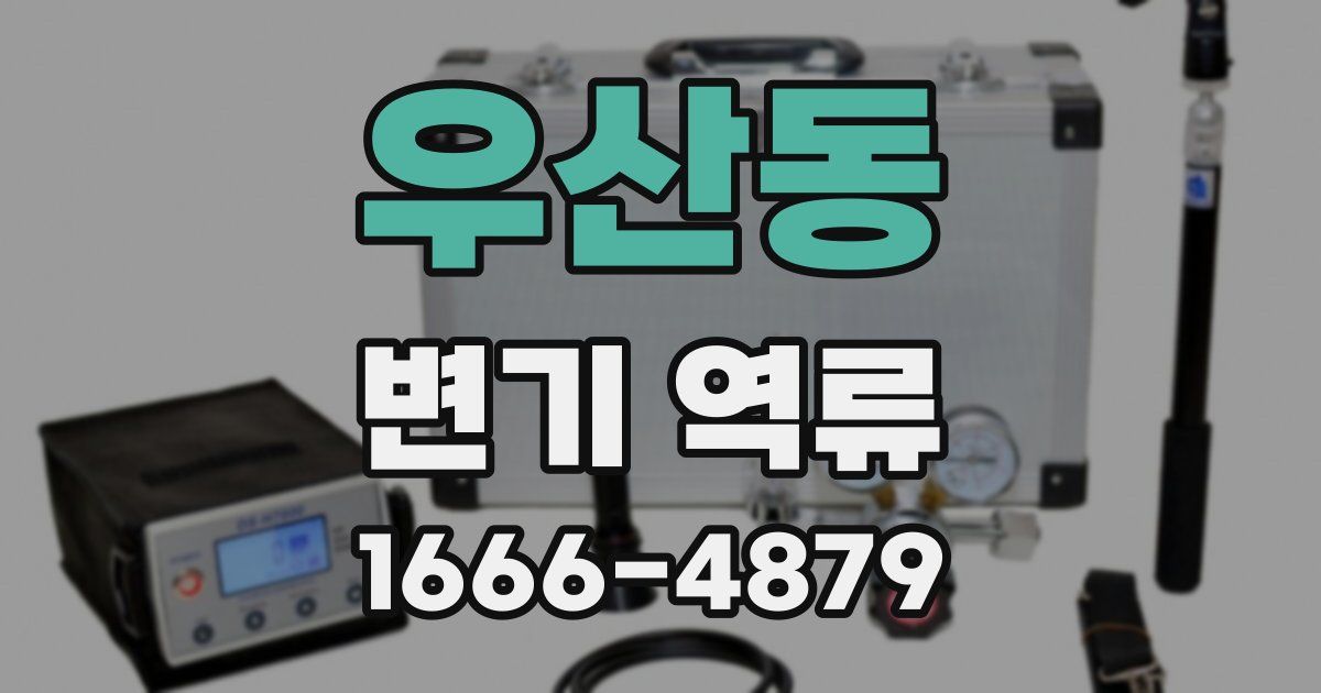 우산동 변기 역류