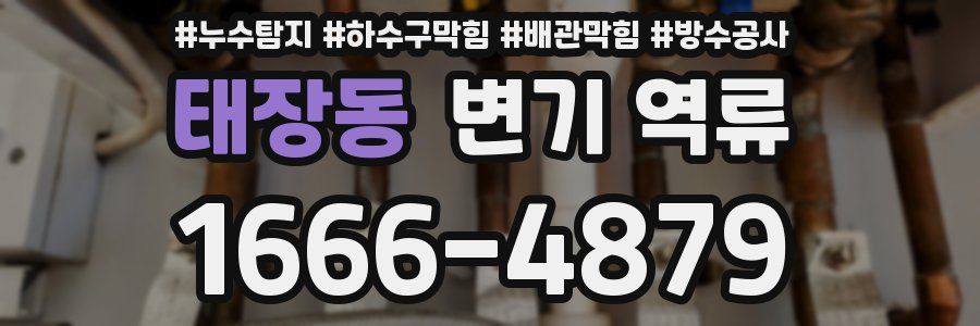 태장동 변기 역류