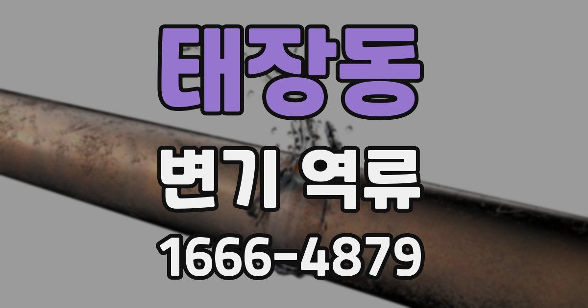 태장동 변기 역류