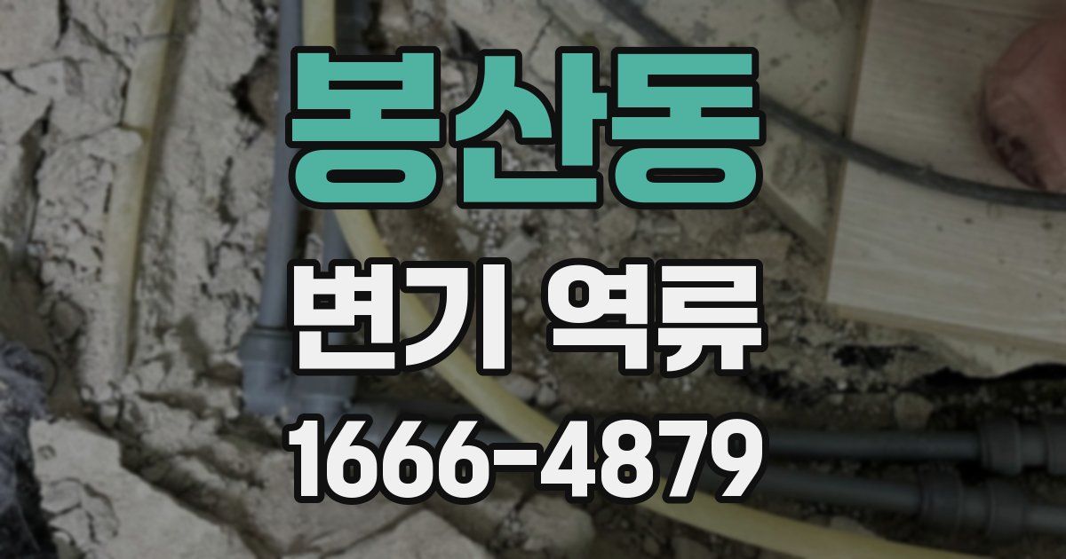 봉산동 변기 역류