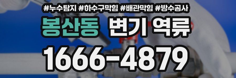 봉산동 변기 역류