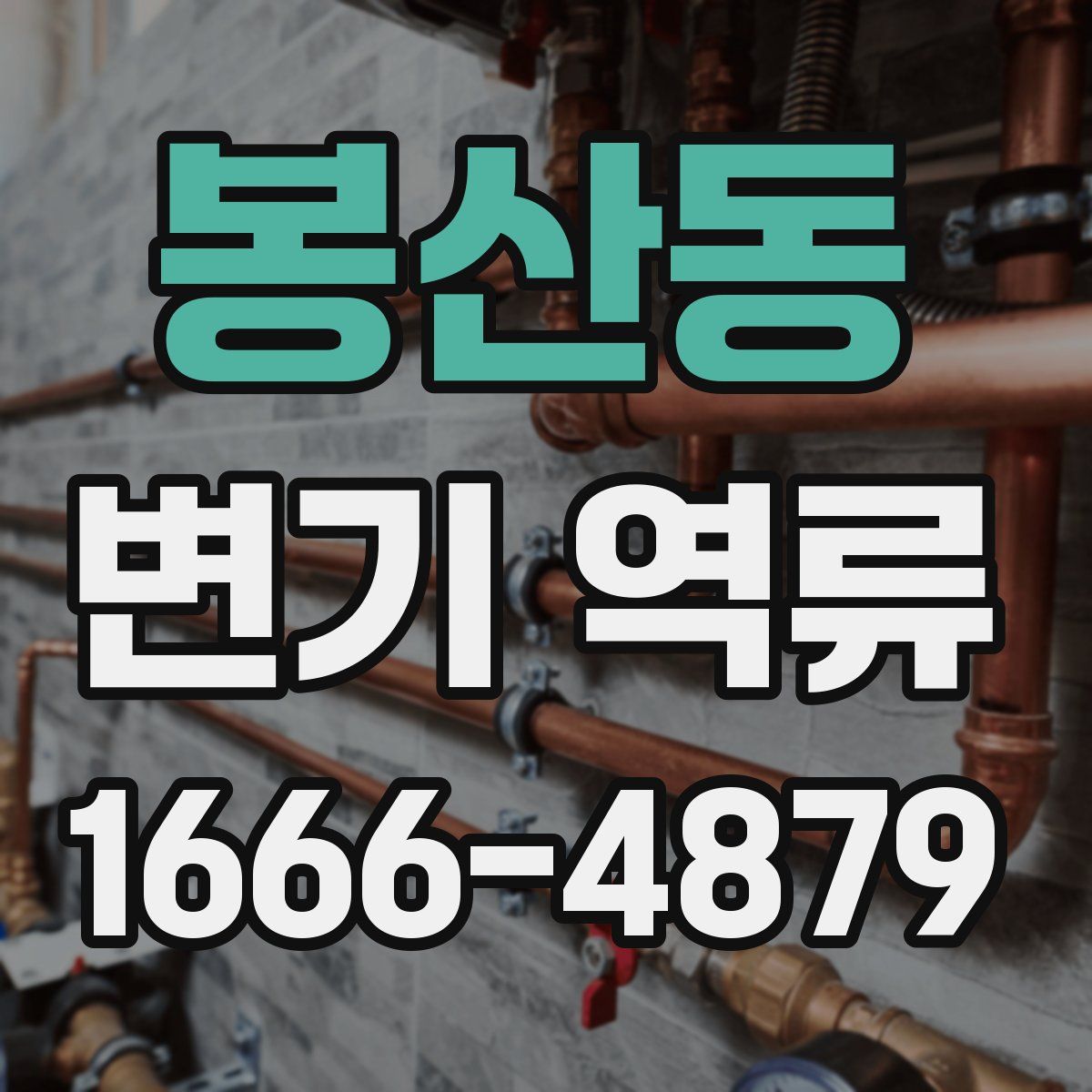 봉산동 변기 역류
