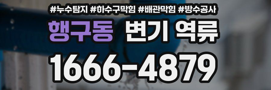 행구동 변기 역류