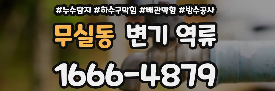무실동 변기 역류