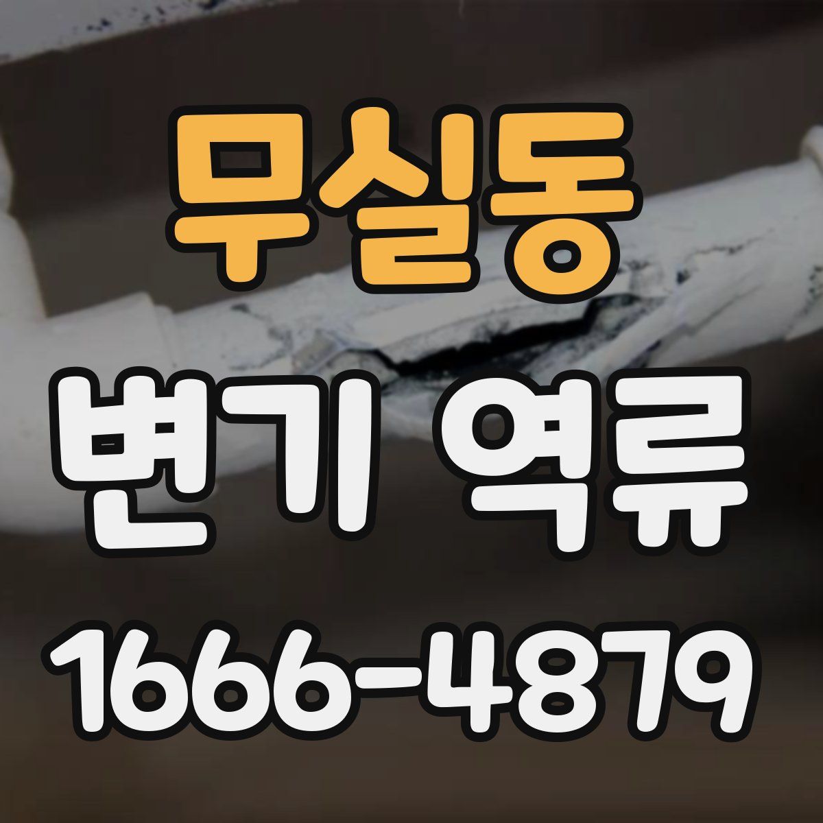 무실동 변기 역류