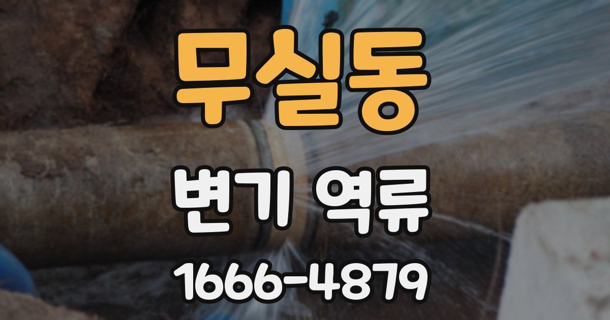 무실동 변기 역류