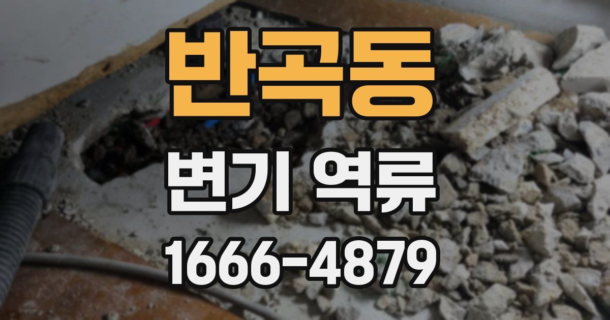 반곡동 변기 역류