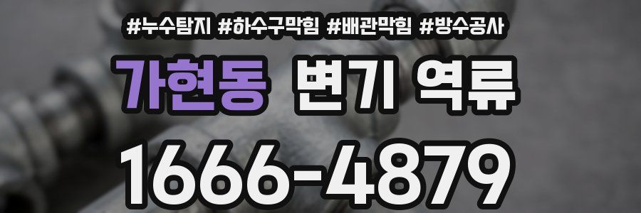 가현동 변기 역류